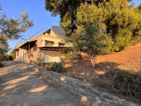 Fousa Home